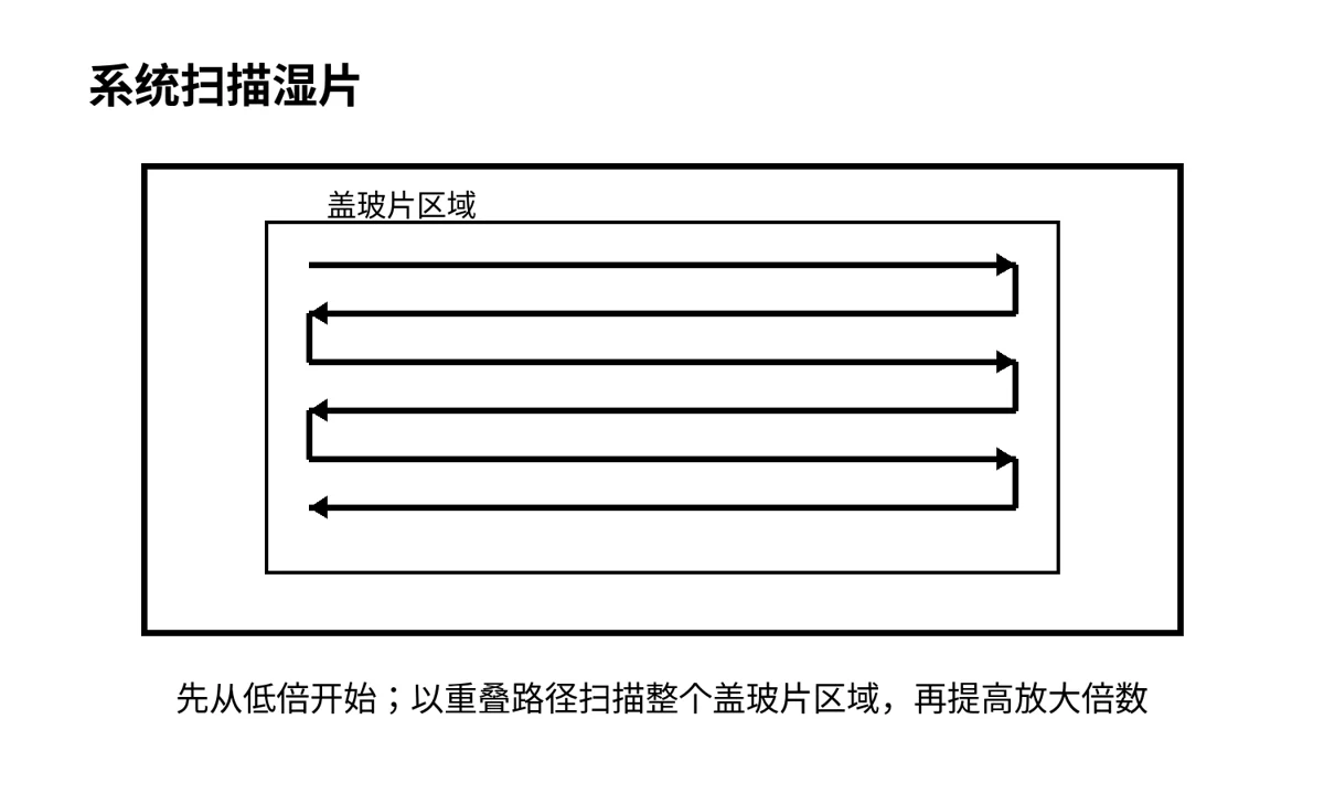 原文插图:如何为锦鲤进行皮肤刮片与显微镜检查