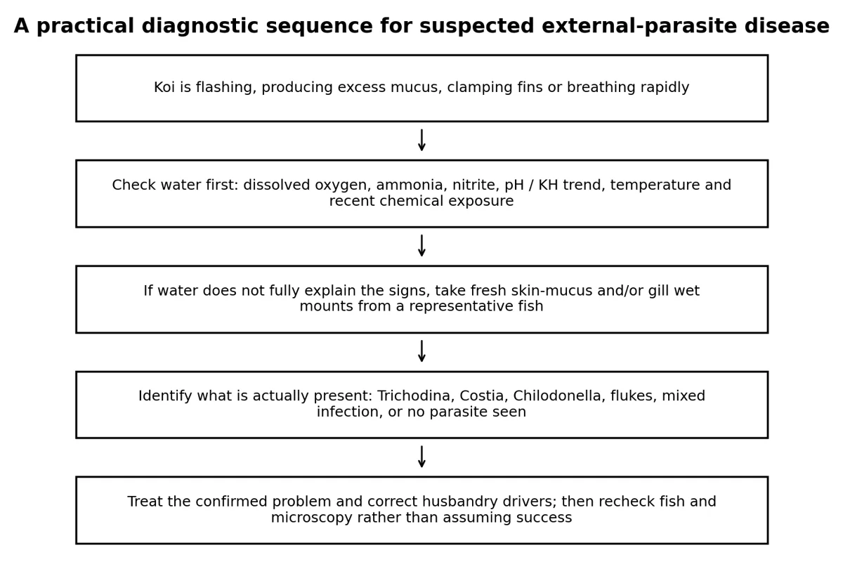 Source illustration: Trichodina in Koi: Identification, Symptoms and Treatment