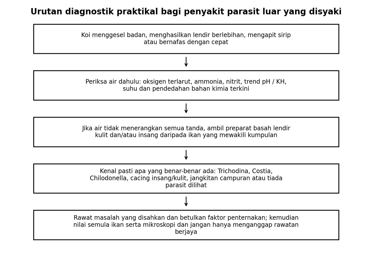 Ilustrasi sumber: Trichodina pada Koi: Pengenalpastian, Gejala dan Rawatan