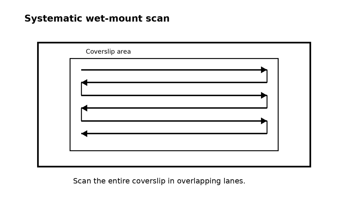 Source illustration: How to Perform a Koi Skin Scrape and Microscopic Examination